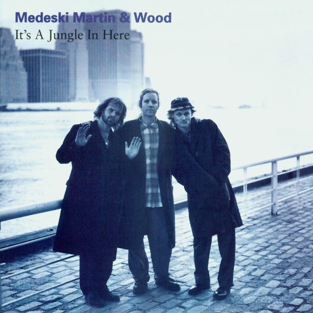 Medeski, Martin & Wood - It's A Jungle In Here