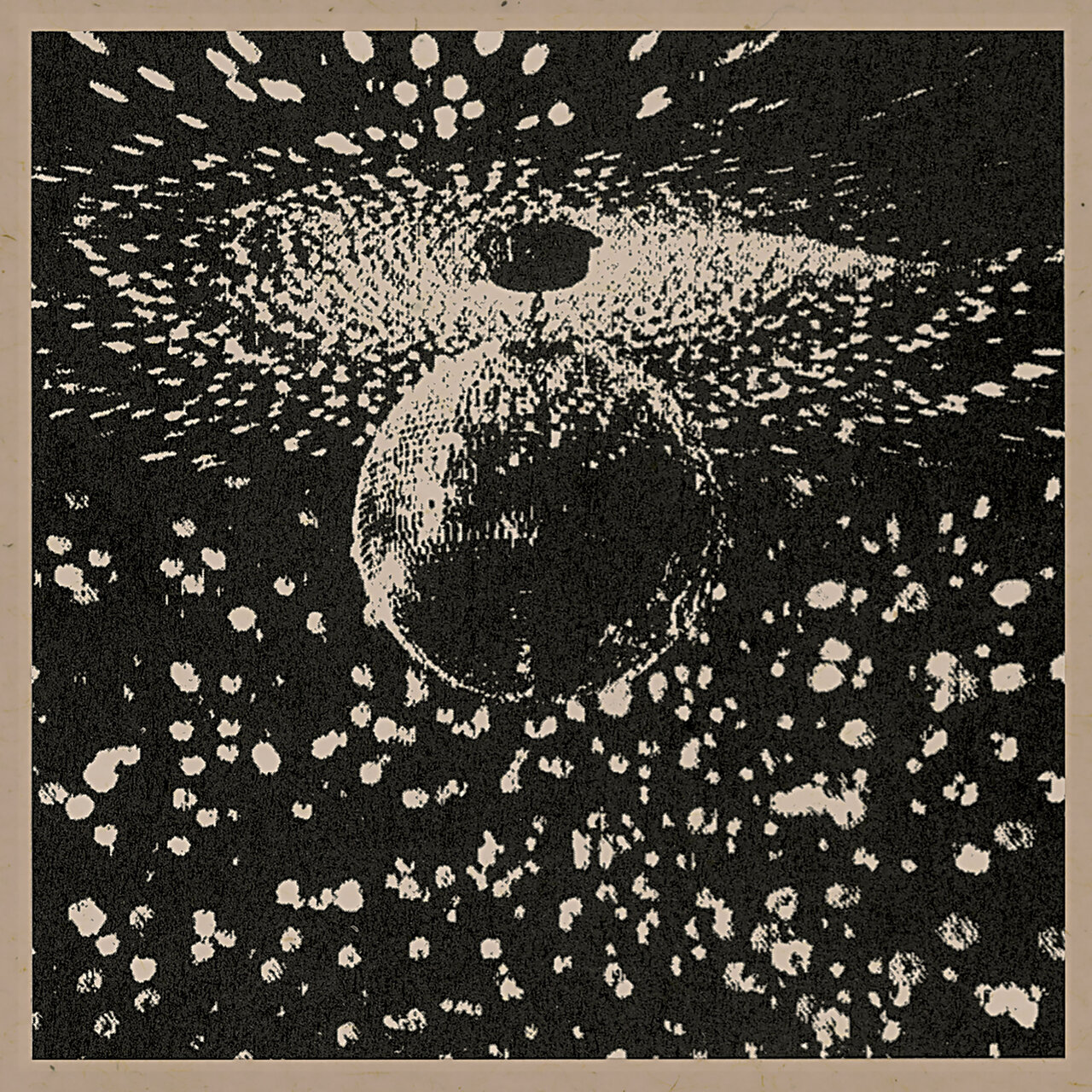 Neil Young and Pearl Jam - Mirror Ball